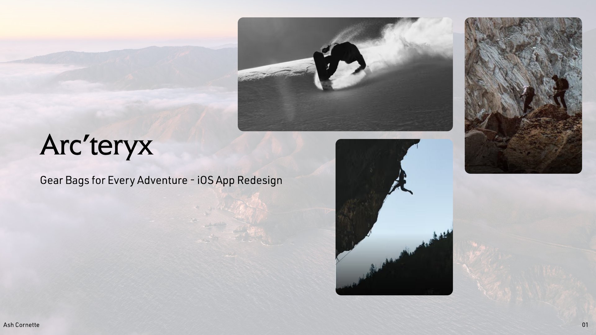 Arc'teryx Gear Bag